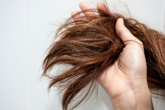 When Should You Trim Your Hair? The Signs Your Ends Need Love (So the Rest Can Thrive)